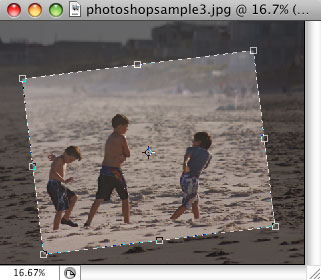 photoshop crop photo photoshop crop photo