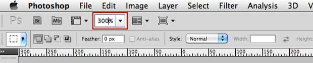 Zoom to 300 percent Zoom to 300 percent