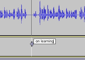 Adding a label to a track in Audacity
