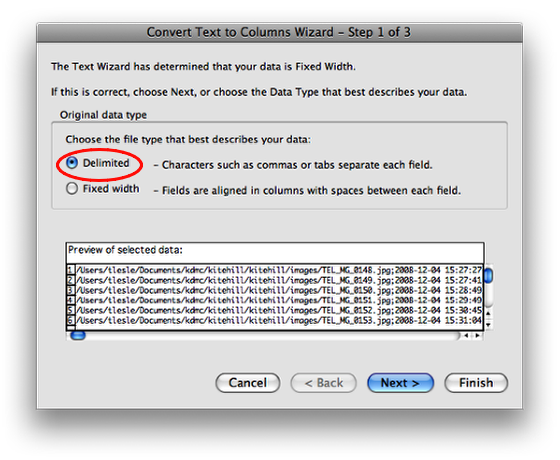 select the delimited button