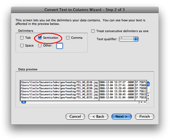 select only the semicolon checkbox