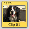 Dog thumbnail iMovie example