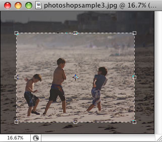 Crop box on image Crop box on image