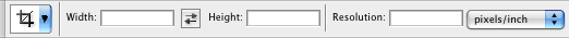 Cropping with resize options in the options bar Cropping with resize options in the options bar