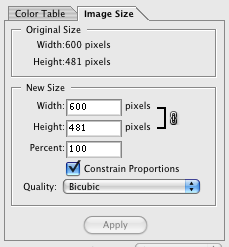 Image size feature in Save for Web Image size feature in Save for Web