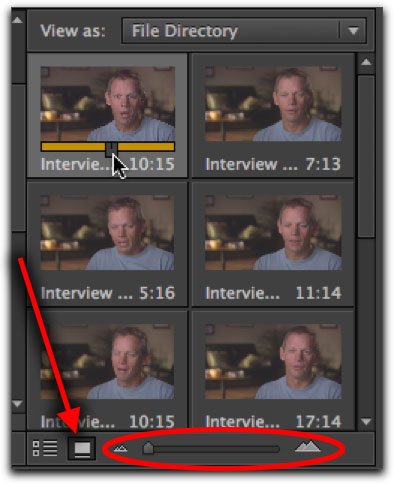 Icon view in the media browser of Adobe Premiere CS6 Icon view in the media browser of Adobe Premiere CS6