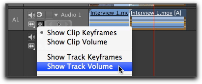 Show track volume option Show track volume option