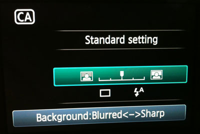 Blur adjustment in Canon T3i