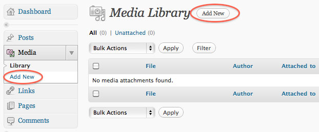 Add media to WordPress add media