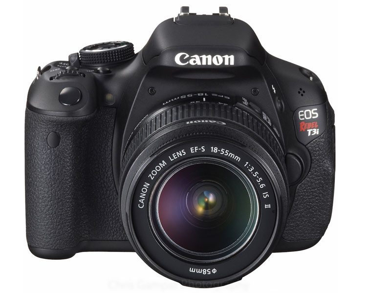 Canon Rebel: A Guide to the Popular Beginner Camera Line