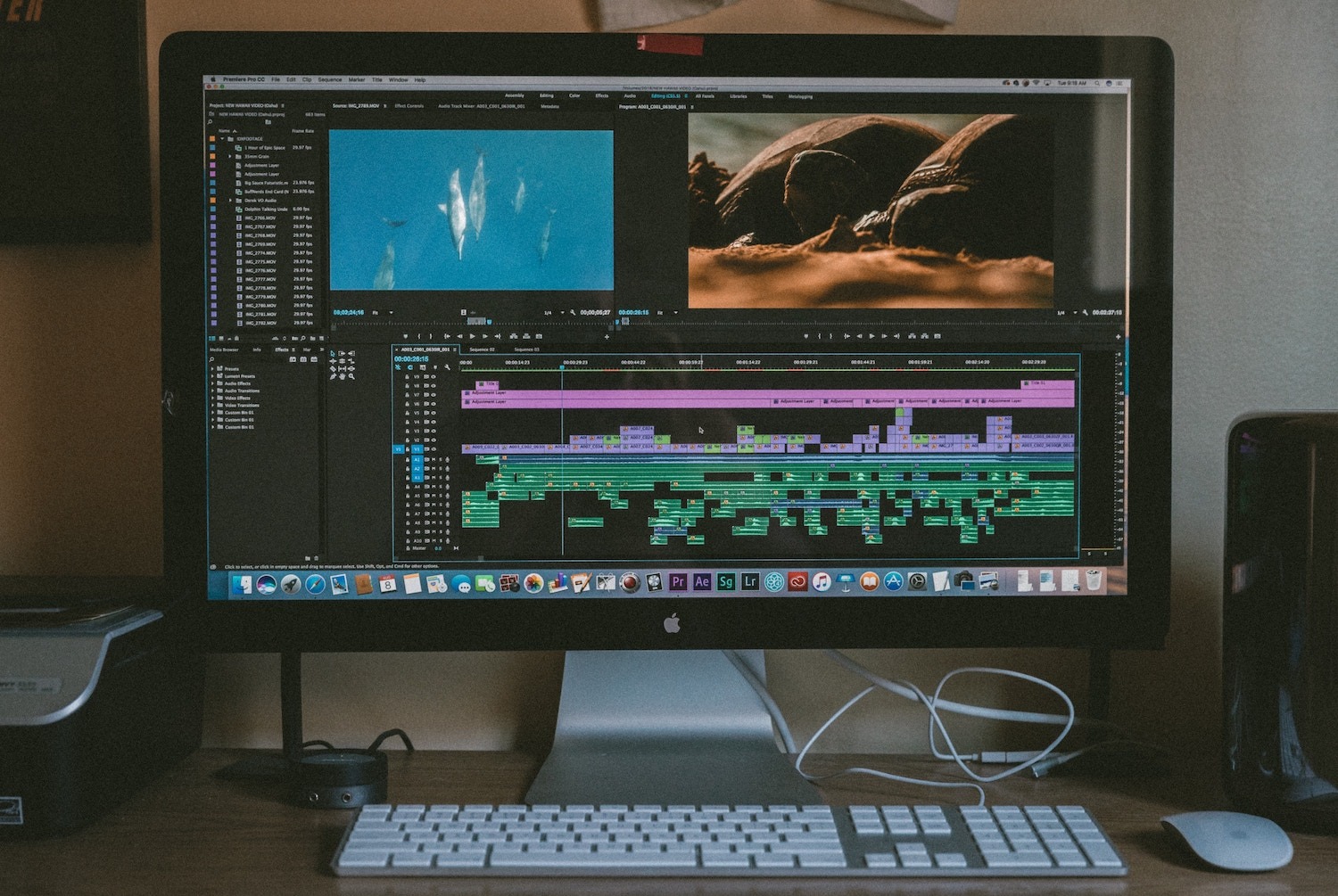 use adobe premiere with photos